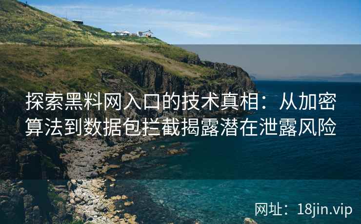 探索黑料网入口的技术真相：从加密算法到数据包拦截揭露潜在泄露风险