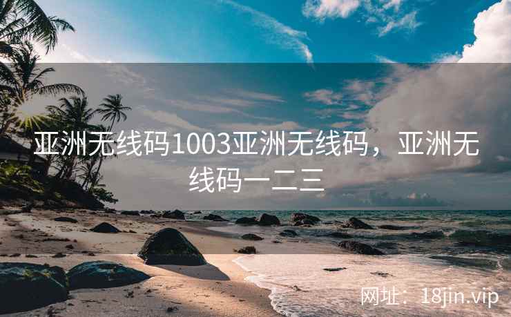 亚洲无线码1003亚洲无线码，亚洲无线码一二三