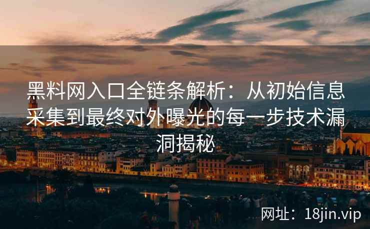黑料网入口全链条解析：从初始信息采集到最终对外曝光的每一步技术漏洞揭秘