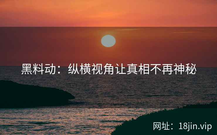 黑料动：纵横视角让真相不再神秘