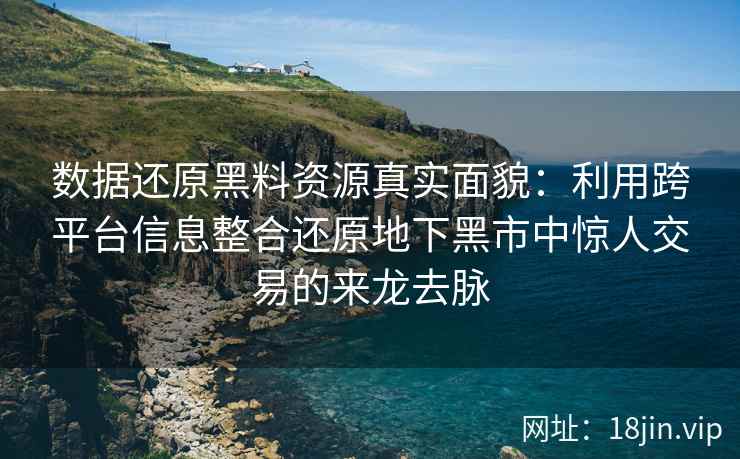 数据还原黑料资源真实面貌：利用跨平台信息整合还原地下黑市中惊人交易的来龙去脉