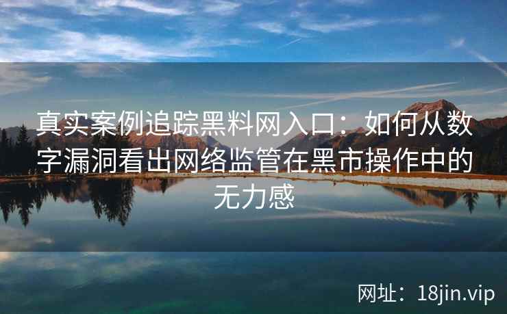 真实案例追踪黑料网入口：如何从数字漏洞看出网络监管在黑市操作中的无力感